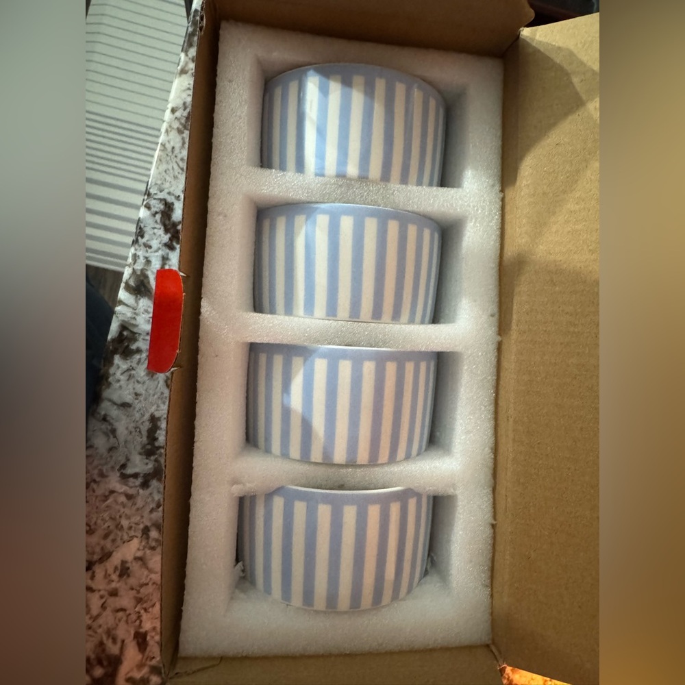 NWT Round House Silicy Stripe Dip Bowl Set of 4